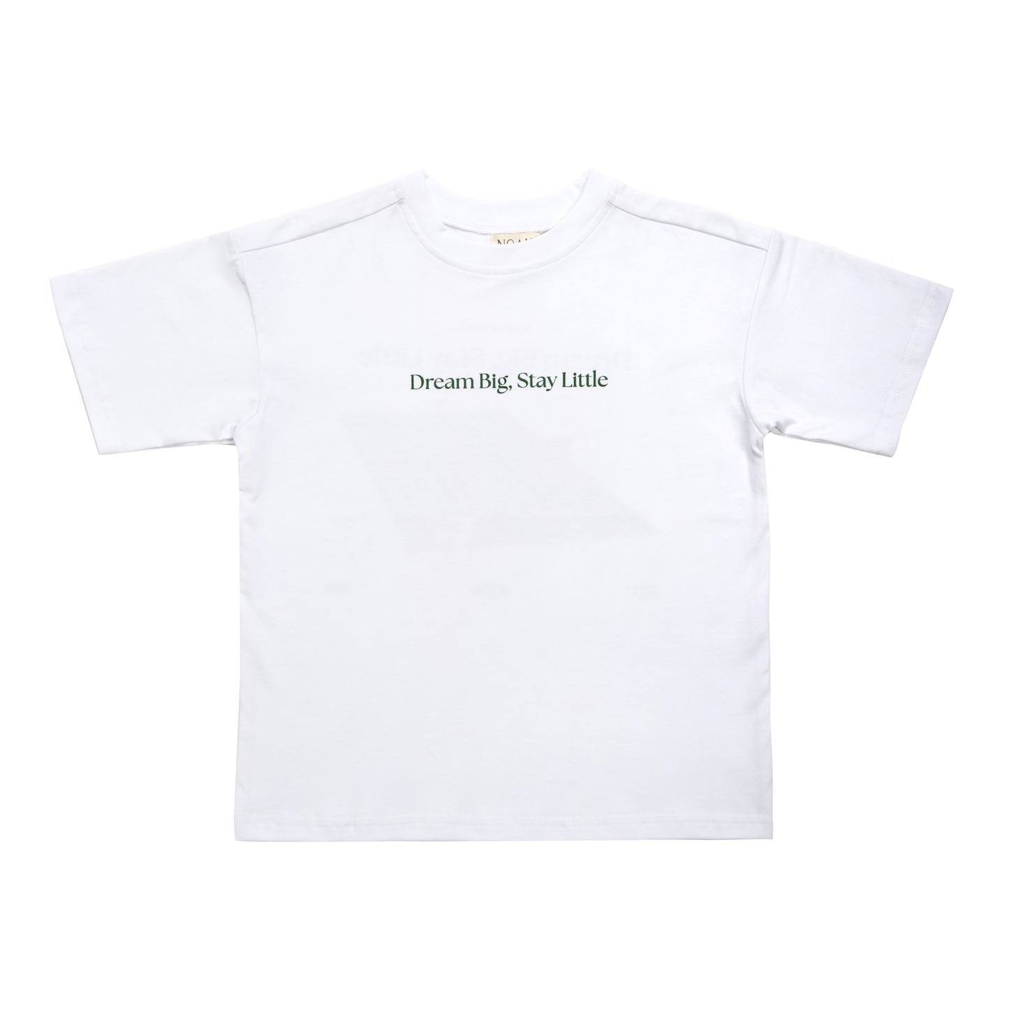 Dream Big Stay Little Tee