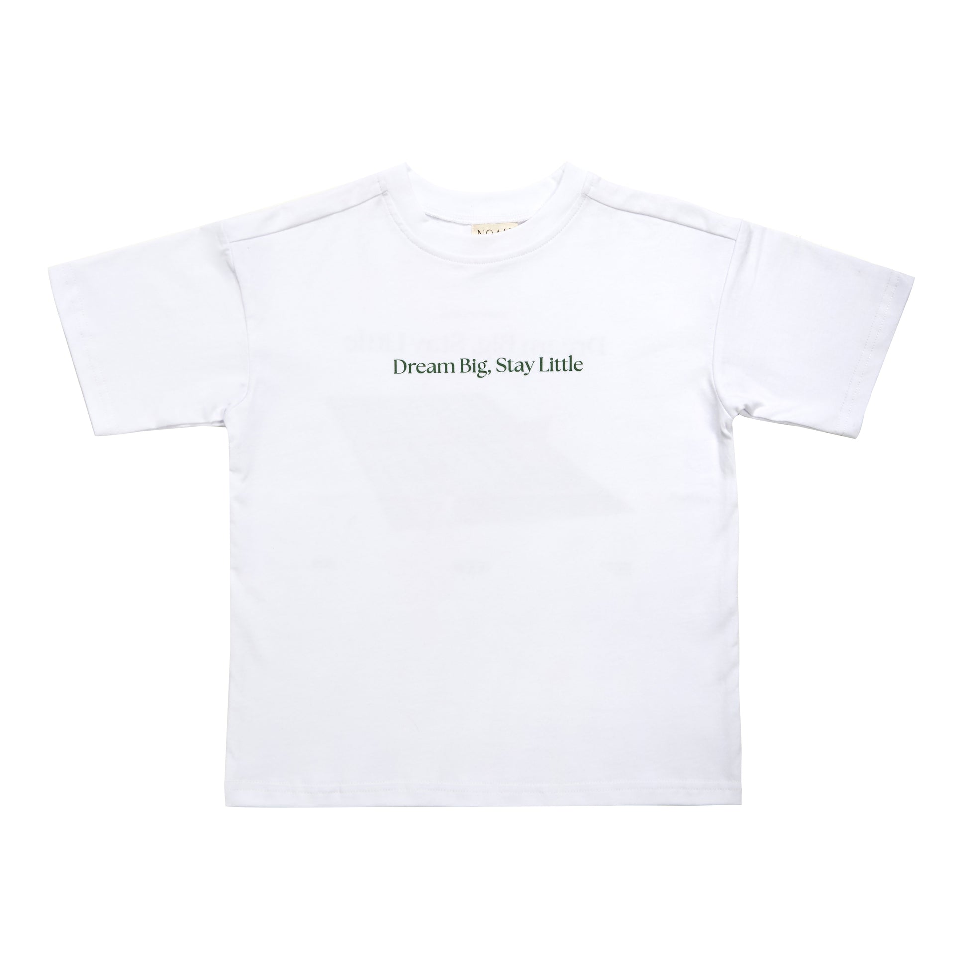 Dream Big Stay Little Tee